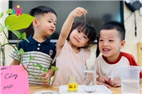 STEAM: Sức căng bề mặt 👩🏫