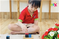 Phát triển tư duy, giác quan qua Bài học cảm quan với 